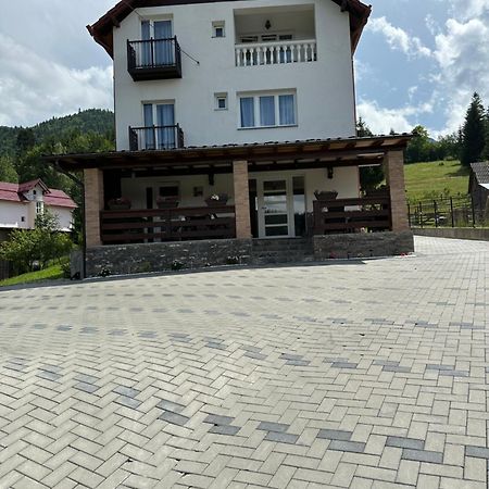 Willa Casa Ika&Matei Borşa Zewnętrze zdjęcie