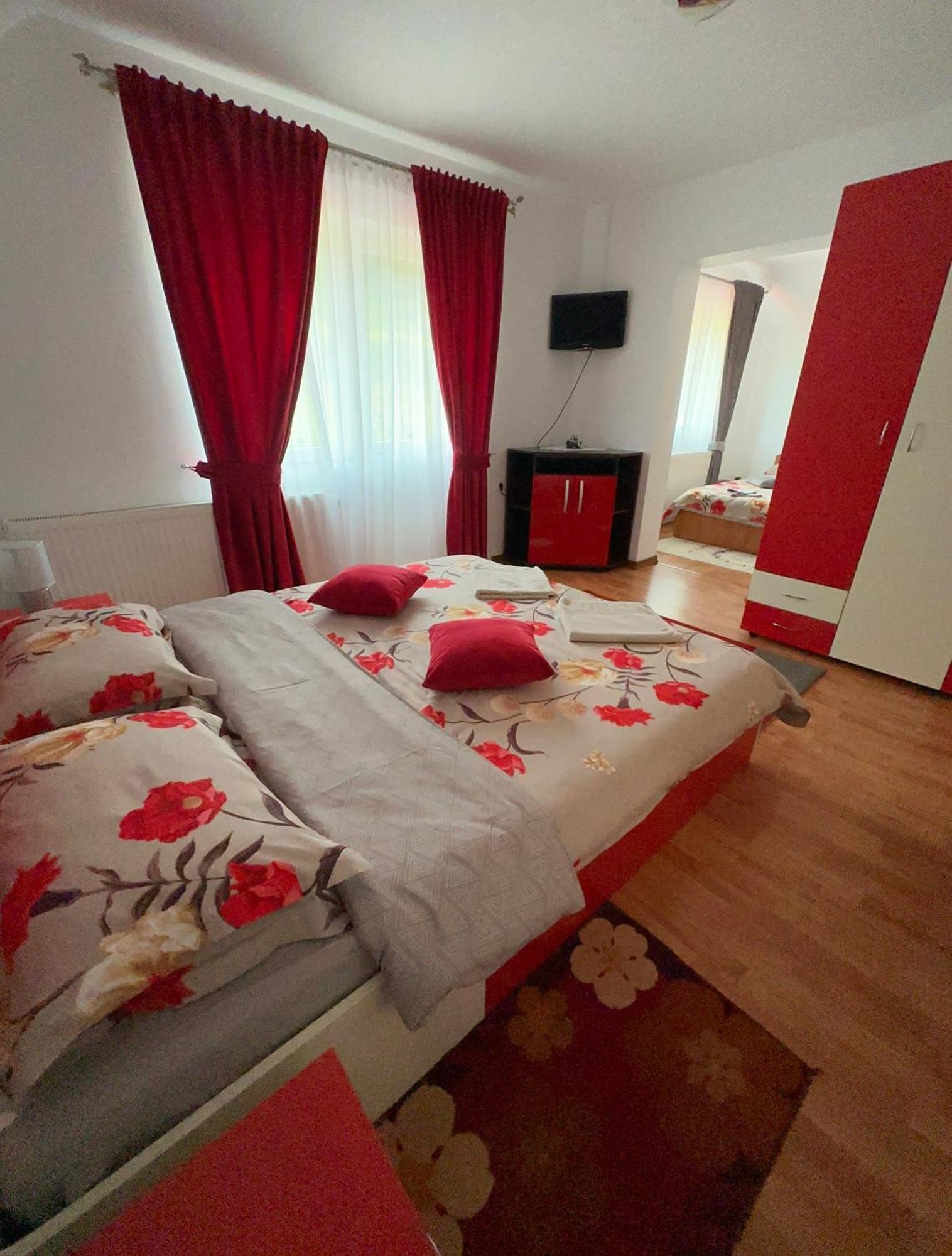Willa Casa Ika&Matei Borşa Zewnętrze zdjęcie